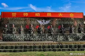 乐鱼app-教练战马个人资料